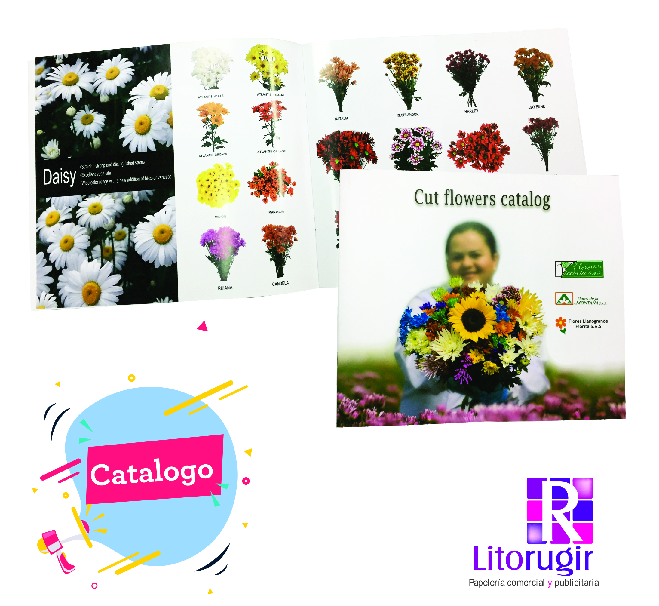 CATALOGO